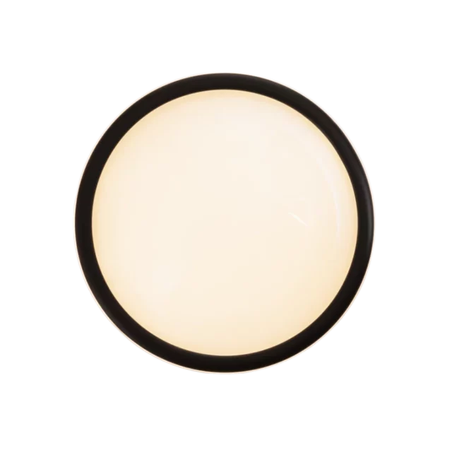 Ceiling lights → Maxlight C0238 Lotto 48cm