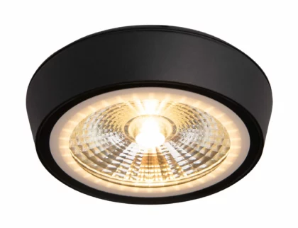 Technical Lighting → Surface-Mounted → Maxlight C0208 Charon black IP65