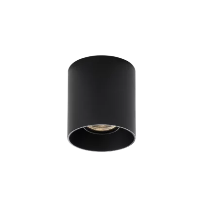 Technical Lighting → Surface-Mounted → Maxlight C0281 BigFix