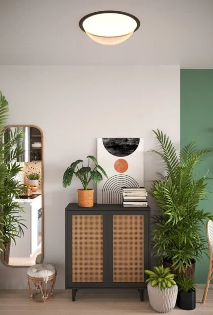 Ceiling lights → Maxlight C0238 Lotto 48cm