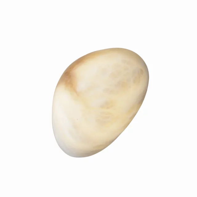 Wall lamps → Maxlight W0397 Nuvia 5W