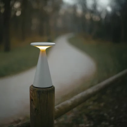 Table lamps → Maxlight T0064 Funghi