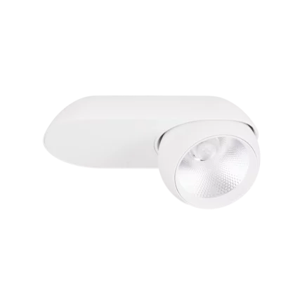 Oświetlenie Techniczne → Natynkowe → Maxlight C0263 Zeus 10W