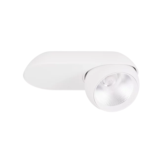 Technical Lighting → Surface-Mounted → Maxlight C0263 Zeus 10W