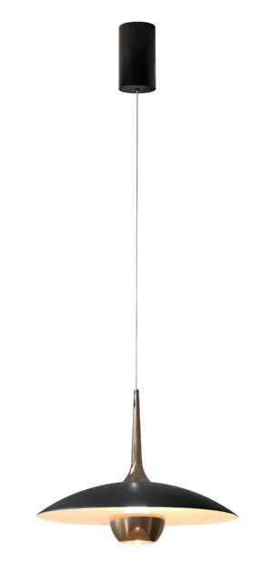 Pendant lamps → Maxlight P0676 Manuka