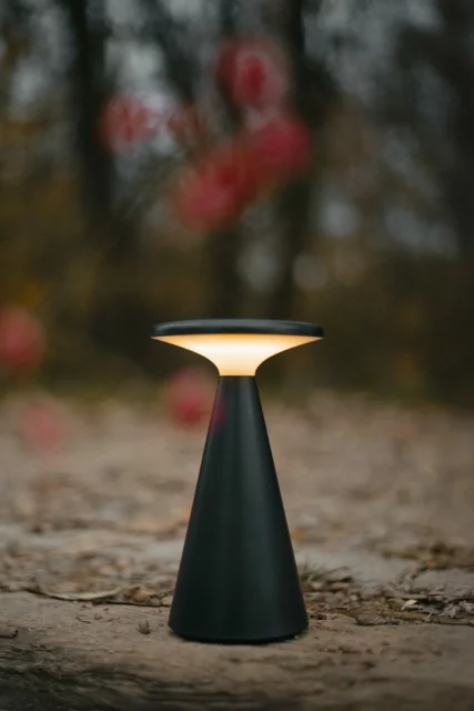 Asztali lámpák → Maxlight T0063 Funghi
