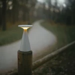 Asztali lámpák → Maxlight T0064 Funghi