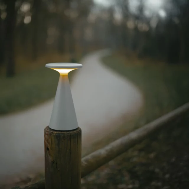 Asztali lámpák → Maxlight T0064 Funghi